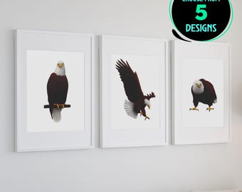 Stampe artistiche di aquila calva, fotografia naturalistica di aquila americana, decorazione da parete di uccelli maestosi, poster di aquila in volo per l'ufficio domestico, set di 5