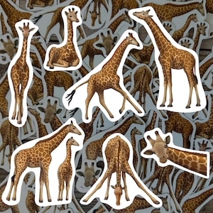 Giraffe stickerpakket safari dieren vinyl stickers dieren in het wild briefpapier decor voor waterflessen cadeau voor giraf minnaar waterdichte stickers