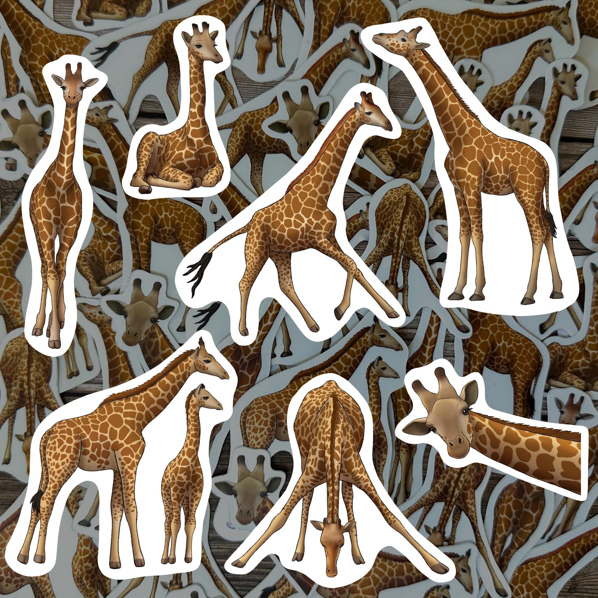Giraffe Sticker Pack Safari Animals Vinyl Decals Wildlife Stationery ...