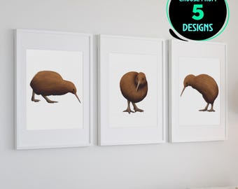 Ensemble d'impressions de kiwis marron kiwi oiseau art mural décoration animalière de Nouvelle-Zélande Impressions d'art modernes pour bureau à domicile observateur d'oiseaux, lot de 5