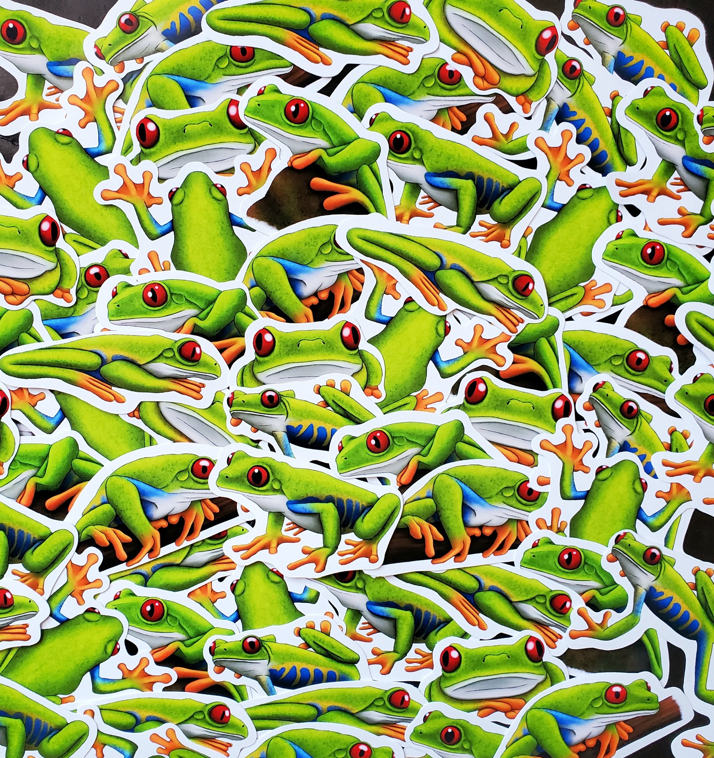 Red Eyed Tree Frog Sticker Pack Waterproof Vinyl Decal Amphibian ...