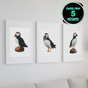 Puffin Art Print Atlantic Bird Wall Decor Seabird Illustration Wildlife Nature Poster Coastal Home Aesthetic Gift for Birdwatcher Set of 3