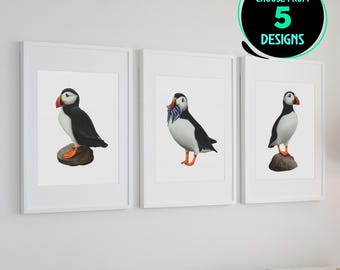 Puffin Art Print Atlantic Bird Wall Decor Seabird Illustration Wildlife Nature Poster Coastal Home Aesthetic Gift for Birdwatcher Set of 3