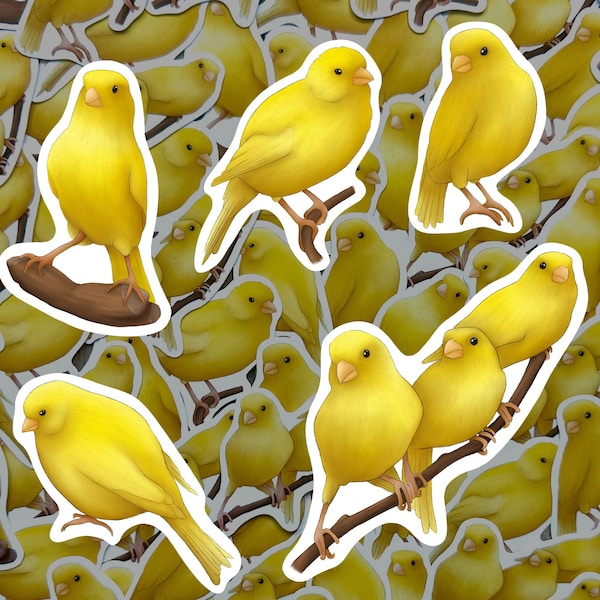 Canary Sticker Pack Songbird Decals Waterproof Vinyl Birdwatcher Gift For Bird Lover Pet Canary Themed Decor Yellow Sticker For Water Bottle