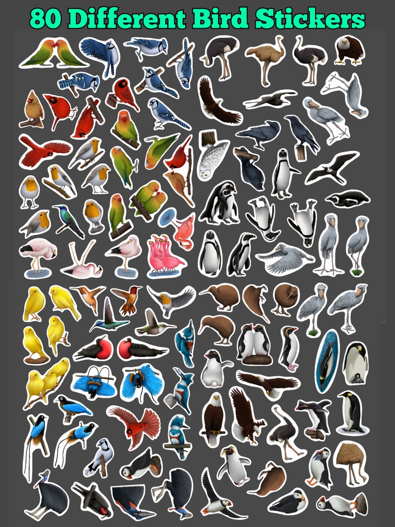 Assorted Bird Stickers, Waterproof Vinyl Decals, Variety - Etsy