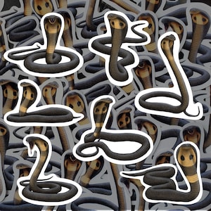 King Cobra Sticker Pack Snake Waterdicht Vinyloverdrukplaatjes Slang Thema Briefpapier Snake Lover Cadeau Voor Reptiel Liefhebber Waterfles Stickers