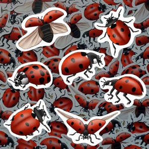 Pack d'autocollants coccinelles Autocollants insectes de jardin Autocollants coccinelles en vinyle imperméable pour les amoureux de la nature Ensemble d'autocollants pour bouteille d'eau et ordinateur portable