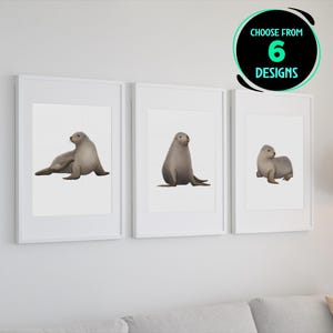 Sea Lion Print Set Marine Life Wall Decor Australian Sea Lion Artwork Oceanic Mammal Home Accent Coastal Theme Poster Set of 6
