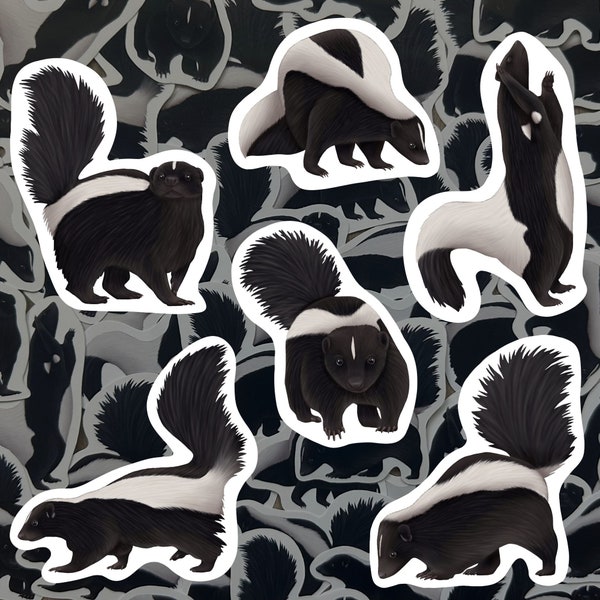 Skunk Sticker Set Forest Animal Decals Cute Critter Vinyl Stickers Wildlife Stationery Waterproof Outdoor Decal Gift For Skunk Lover