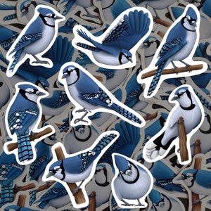 Bluejay Sticker Pack Blue Bird Waterdicht Vinyloverdrukplaatje Forest Wildlife Briefpapier Cadeau Voor Birdwatcher Stickerset Voor Laptop Journal Fles