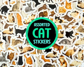 Assorted Cat Stickers Pack Cat Breeds Vinyl Stickers Waterproof Feline Stationary For Cat Lover Gift For Cat Lady Cute Cat Decor For Laptop
