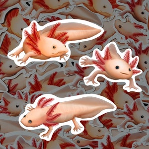 Axolotl Sticker Pack Amphibian Decals Gift For Axolotl Lover Aquatic Animal Stationery Decor Waterproof Pet Axolotl Tank Stickers For Bottle