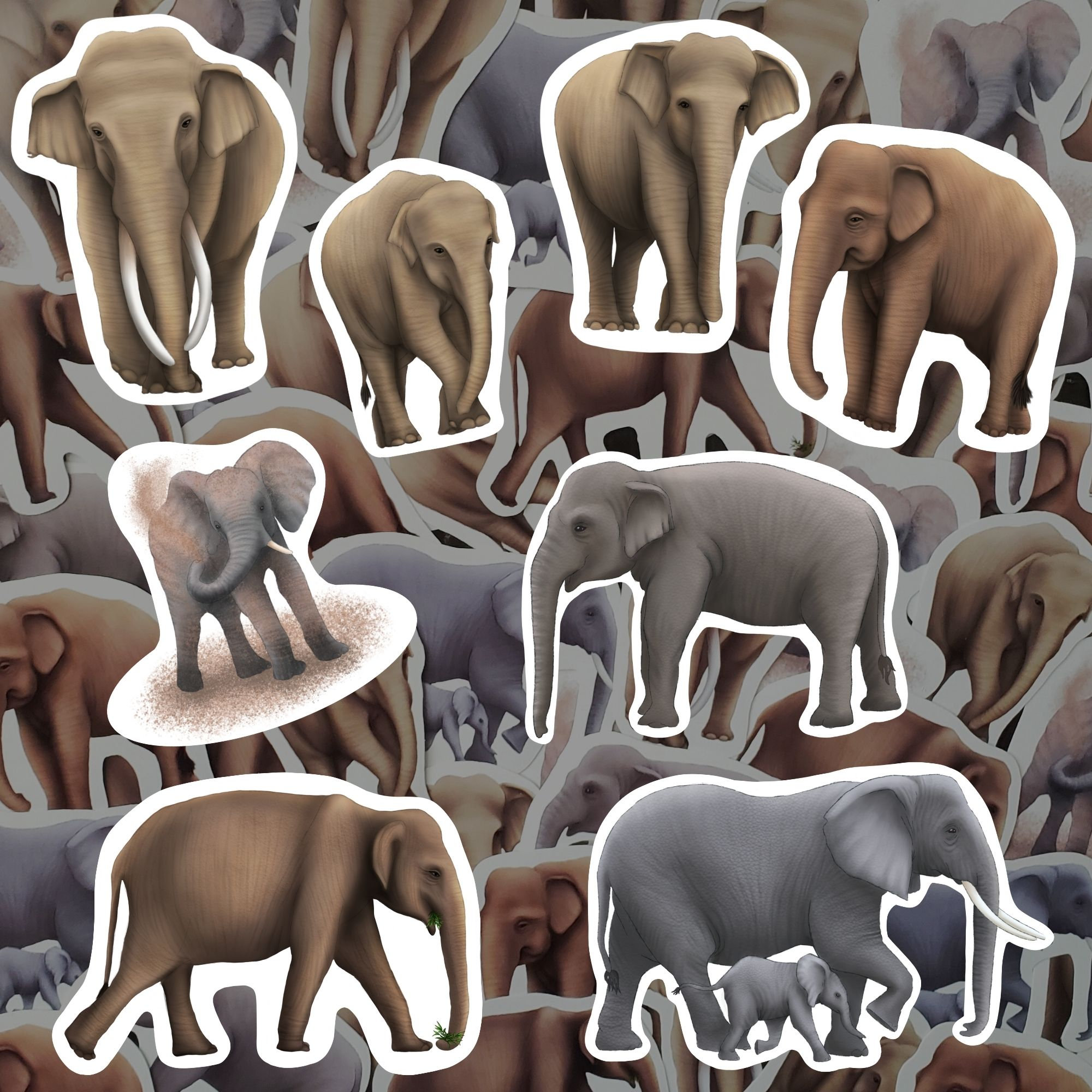 Elephant Sticker Pack Asian Elephant Decals Wildlife Vinyl Waterproof Sticker Set Gift For African Elephant Lover Journal Laptop Decor
