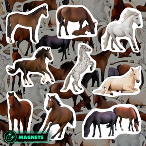 Horse Magnets Equine Illustration Farm Animal Refrigerator Magnet Kitchen Decor Equestrian Gift For Horse Lover Locker Accessory For Farmer