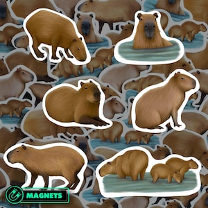 Confezione magnetica di capibara, accessori per frigoriferi per roditori, decorazioni per la fauna selvatica sudamericana, regalo per amanti degli animali, decalcomania in vinile impermeabile per casa e ufficio