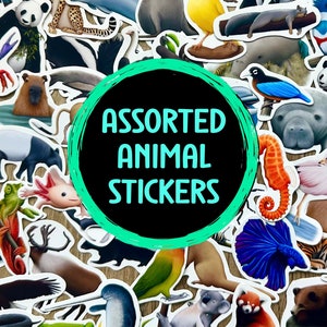 Pacote de adesivos de animais variados decalques de vinil à prova d'água presente para amantes da natureza, papelaria para entusiastas da vida selvagem, mini adesivos do zoológico para ambientes externos