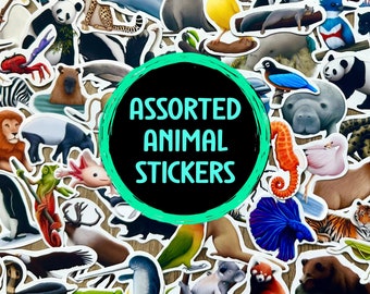 Animal Sticker Pack Assorted Waterproof Vinyl Decals Gift For Nature Lover Stationery for Wildlife Enthusiast Zoo Mini Stickers For Outdoors