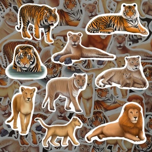 Paquete de pegatinas de león, juego de pegatinas de tigre, adhesivos de ligre, calcomanías de grandes felinos, decoración impermeable para animales salvajes, regalo para amantes de los animales, papelería con temática de safari