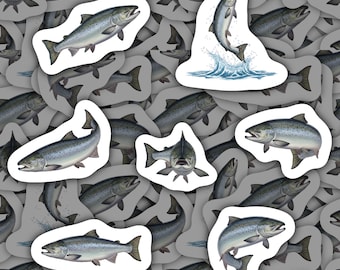 Pegatinas de vinilo de salmón, resistentes al agua, para papelería, regalo para amantes del salmón, paquete de pegatinas de mariscos para botellas de agua, decoración para portátiles.