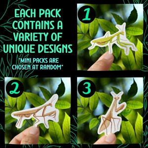 Praying Mantis Sticker Pack Insect Decal Entomology Vinyl Waterproof ...