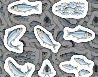Sardine Stickers Waterproof Vinyl Decals Ocean Animal Stationery Gift for Fishing Lovers Sardine Sticker Pack for Fisherman Water Bottle