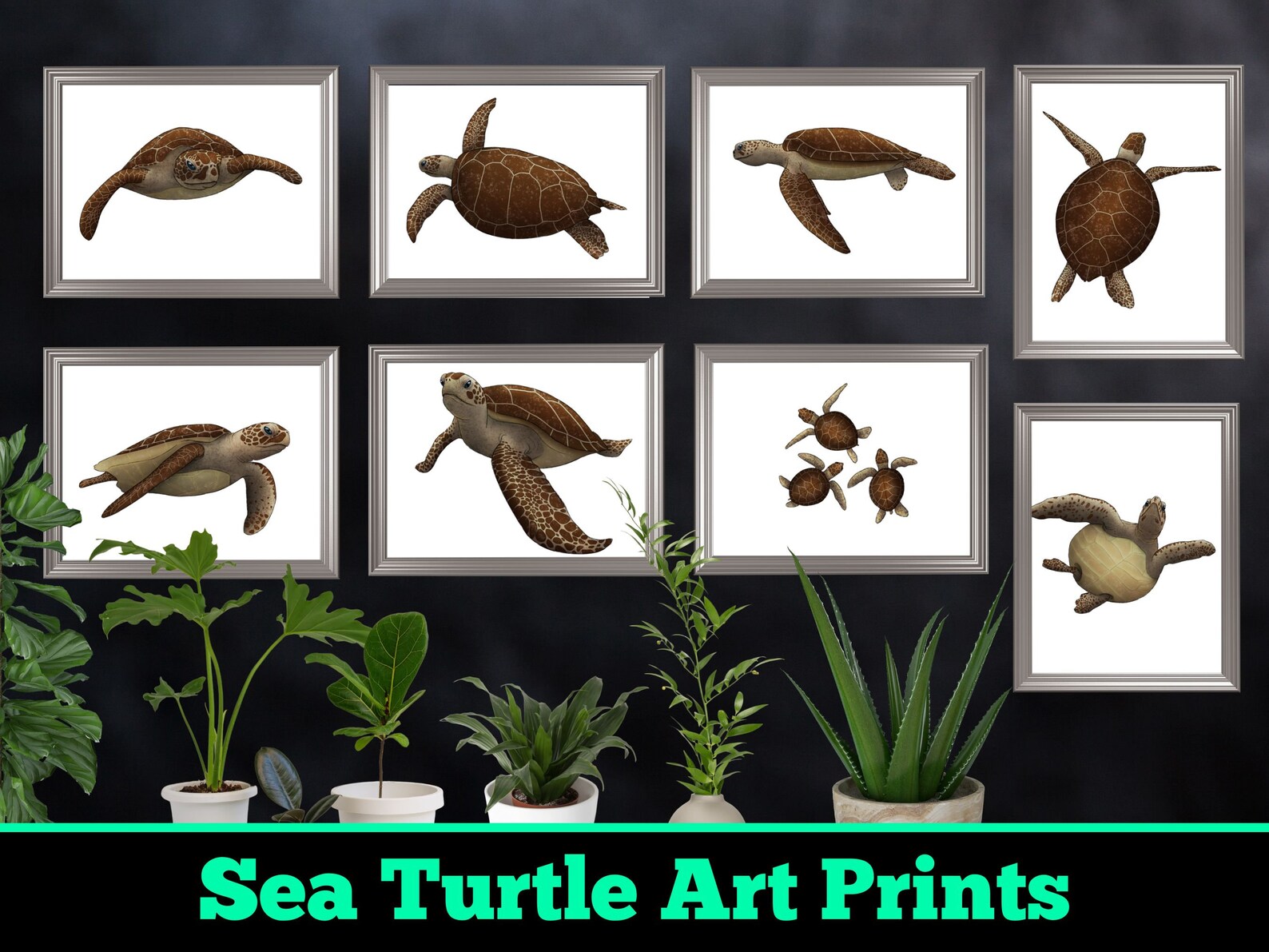 Sea Turtle Print Set Coastal Wildlife Wall Decor Turtle Artwork ...