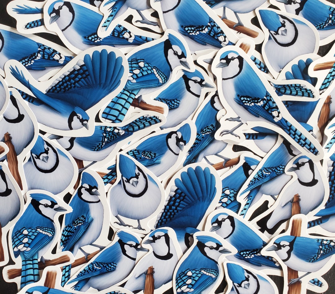 Bluejay Stickers Blue Jay Sticker Pack Blue Bird Stationary Etsy