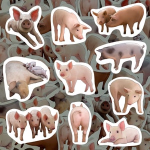 Pig Sticker Pack Farm Animal Cute Piggy Illustrations Waterproof Vinyl Decal for Water Bottles Laptops Gift for Pig Lovers