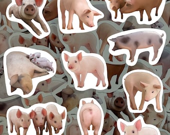 Pig Sticker Pack Farm Animal Cute Piggy Illustrations Waterproof Vinyl Decal for Water Bottles Laptops Gift for Pig Lovers