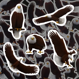 Bald Eagle Sticker Pack Bird Of Prey Decals Waterproof Vinyl American Eagle Lover Gift Patriotic Wildlife Themed Stationery for Birdwatchers