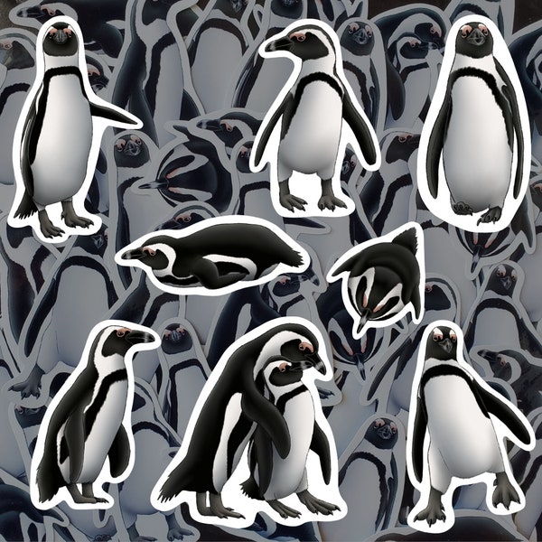 African Penguin Sticker Pack Waterproof Vinyl Decal Beach Wildlife Stationery Gift For Penguin Lover Sticker Set For Water Bottle Laptop