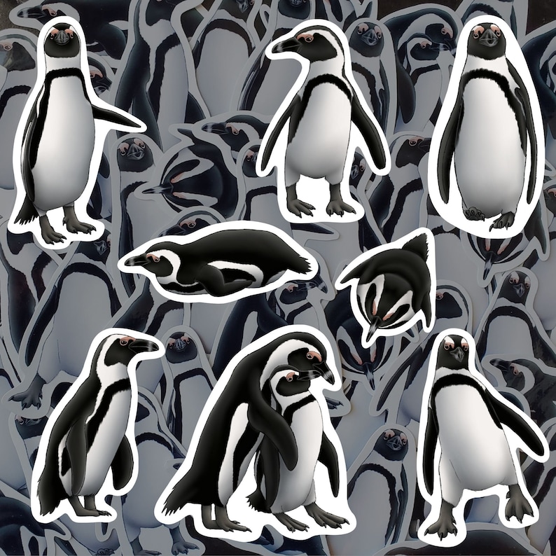 African Penguin Sticker Pack Waterproof Vinyl Decal Beach Wildlife Stationery Gift For Penguin Lover Sticker Set For Water Bottle Laptop image 1