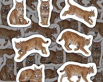 Bobcat Aufkleber Vinyl-Abziehbilder Wasserdicht Wildlife Schreibwaren Big Cat Aufkleber für Bobcat-Liebhaber Scrapbooking Laptop Wasserflasche Dekor