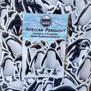 African Penguin Sticker Pack Waterproof Vinyl Decal Beach Wildlife Stationery Gift For Penguin Lover Sticker Set For Water Bottle Laptop image 3