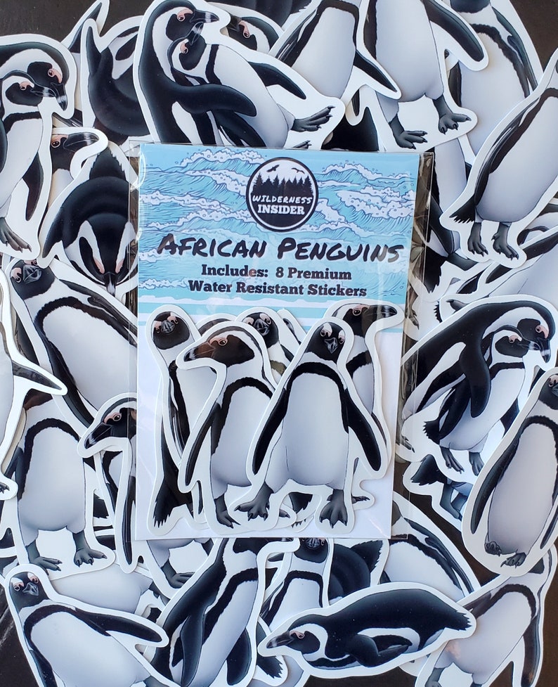 African Penguin Sticker Pack Waterproof Vinyl Decal Beach Wildlife Stationery Gift For Penguin Lover Sticker Set For Water Bottle Laptop image 3