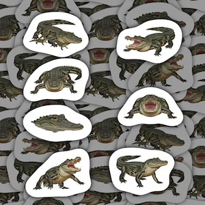 Alligatorklistermärken Vinyldekaler Vattentäta Vilda Djur Brevpapper Laptopdekal Journalkonst Gåva för Reptilälskare Hållbar Vattenflaskdekor