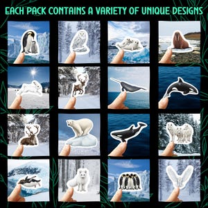 May include: A collection of stickers featuring various arctic animals, including penguins, polar bears, and wolves. Each sticker is held up by a finger, showcasing the diverse designs. The text "EACH PACK CONTAINS A VARIETY OF UNIQUE DESIGNS" is at the top.