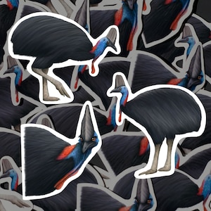 Confezione di adesivi per casuario, uccelli australiani, adesivi in vinile impermeabili, fauna selvatica esotica, cancelleria, regalo per gli amanti degli animali, set di adesivi per borraccia