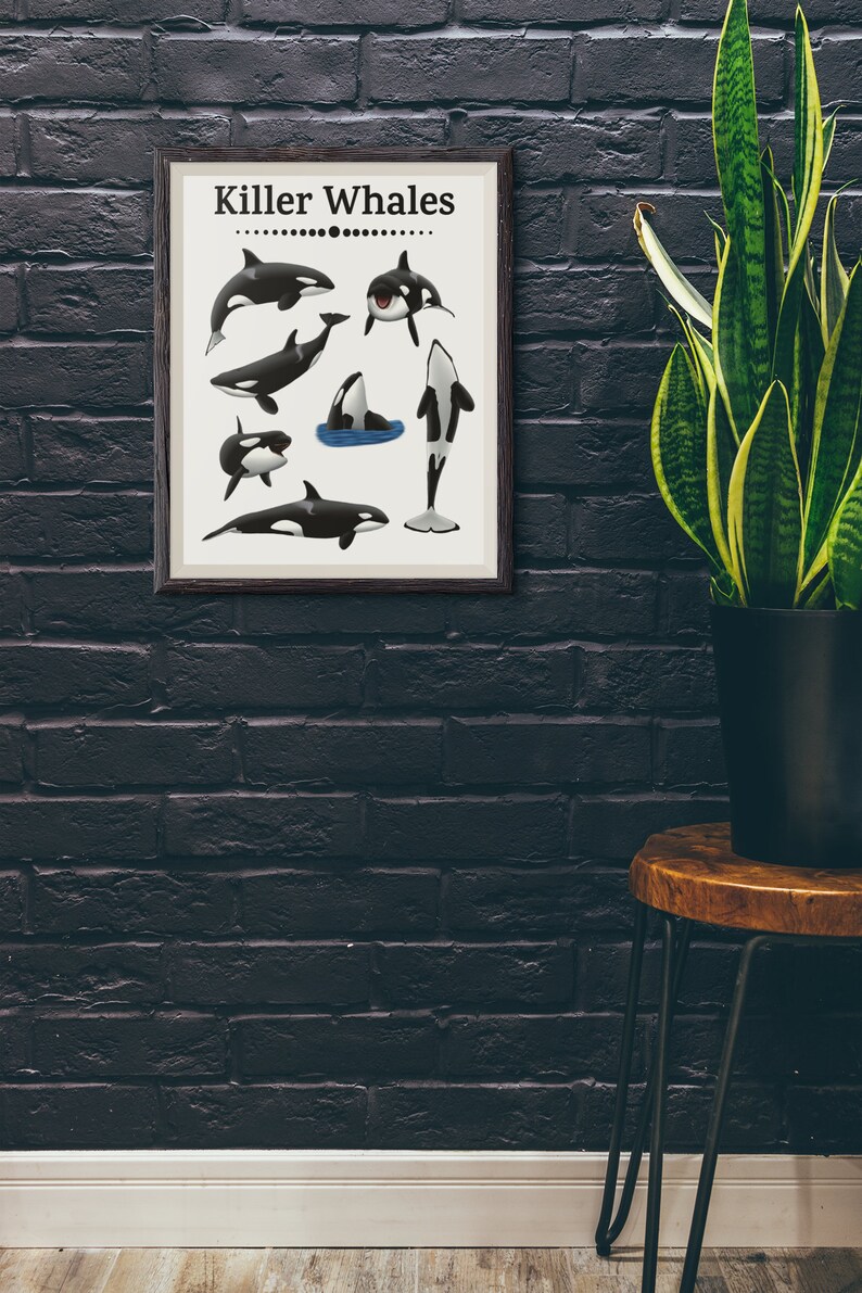 Orca Print Killer Whale Wall Art Marine Mammal Poster Orca Watercolor ...