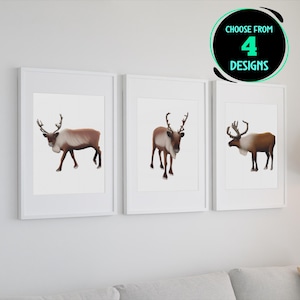 Renas arte imprime caribu decoração de parede moderna floresta vida selvagem ilustração casa interior presente para entusiasta da natureza conjunto de 4