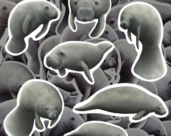 Manatee Sticker Pack Sea Cow Decals Waterproof Vinyl Marine Mammal Lover Gift Aquatic Themed Stationery Gift For Marine Biologist Stickers