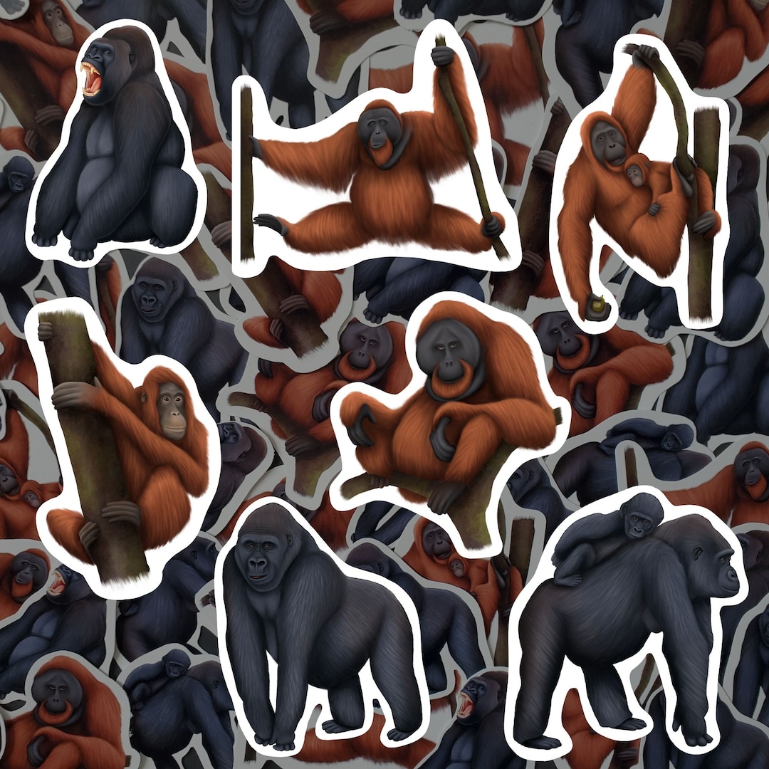Great Apes Sticker Pack Primate Decals Waterproof Vinyl Lowland Gorilla ...