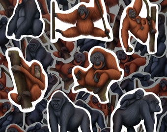 Great Apes Sticker Pack Primate Decals Waterproof Vinyl Lowland Gorilla Stickers Orangutan Lover Gift Jungle Stationery for Water Bottle