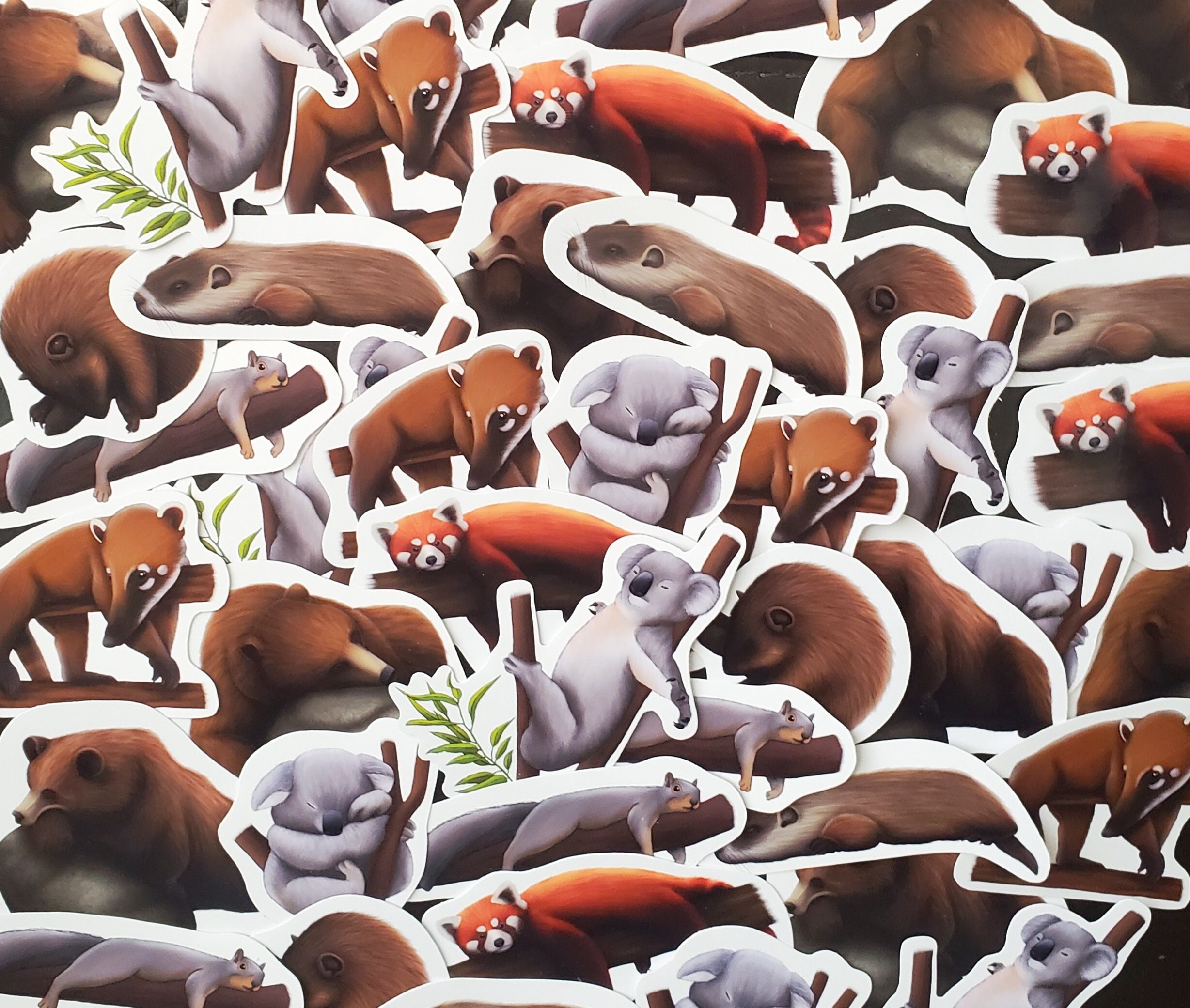 Lazy Animal Sticker Pack Sleepy Koala Sticker Hibernating - Etsy Lazy Animal Sticker Pack Sleepy Koala Sticker Hibernating - Etsy