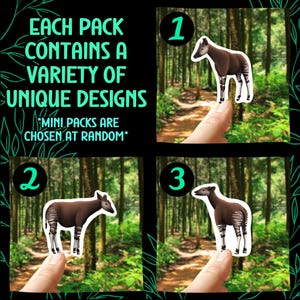 Okapi Sticker Pack Rainforest Animal Waterproof Vinyl Decal Cute Okapi ...