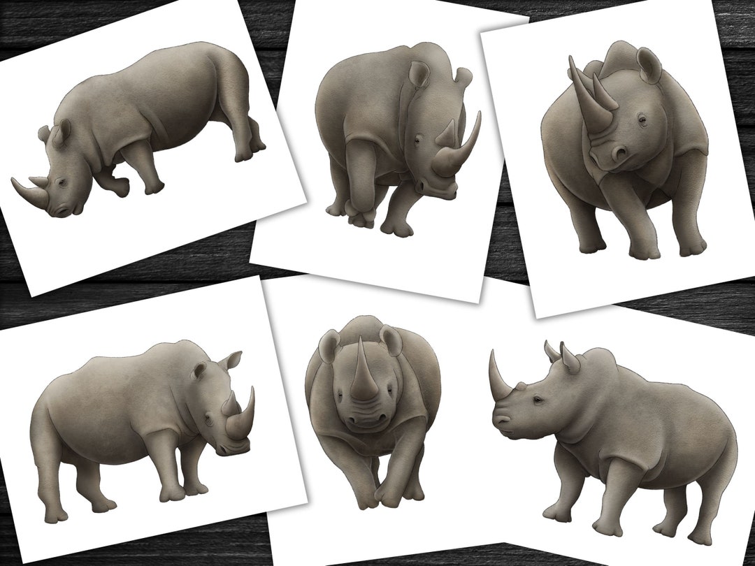 Rhinoceros Print Set Black and White Rhino Wall Art Safari Decor