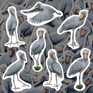 Schuhschnabel Storch Aufkleber-Pack Vogel Wasserdicht Vinyl Aufkleber Wildlife Schreibwaren Geschenk für Vogelbeobachter Aufkleber Set für Wasserflasche Laptop Journal