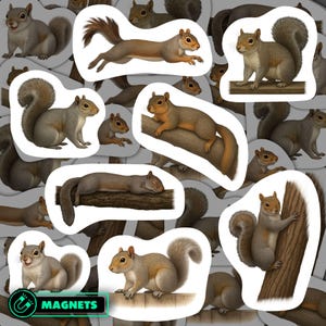 Eastern Gray Squirrel Magnets Waterproof Vinyl Wildlife Kitchen Decor Gift for Squirrel Lovers, Animal Nature Décor Refrigerator Magnets