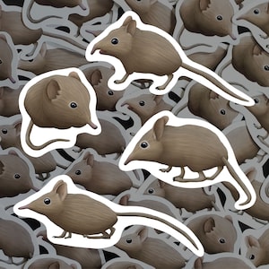 Paquete de pegatinas de elefante y musaraña, calcomanías de vida salvaje africana, vinilo impermeable, regalo para amantes de los animales pequeños, papelería con temática de naturaleza, decoración de musaraña para botellas