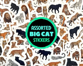 May include: A collection of assorted big cat stickers featuring various felines like lions, tigers, leopards, and panthers. The stickers are in different sizes and poses, with a circular sticker in the center that reads "ASSORTED BIG CAT STICKERS".